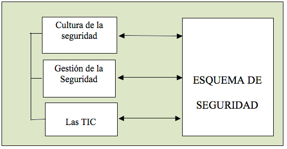 grafico 6